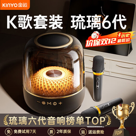 Jinyun Liuli 6th generation K-song microphone all-in-one Bluetooth speaker wireless singing home KTV audio karaoke set microphone Voice of Berlin outdoor audio gift G5