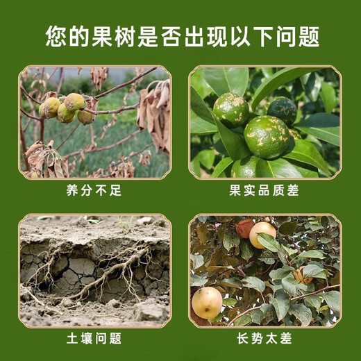 Fruit tree base fertilizer granules improve quality, increase yield, condition soil, promote peanut roots, water-soluble fertilizer 1000g/bag