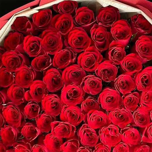 Bouquet of 99 red roses, express delivery of love, proposal, birthday gift to girlfriend, flowers delivered by local flower shop, deep love丨99 red rose bouquet