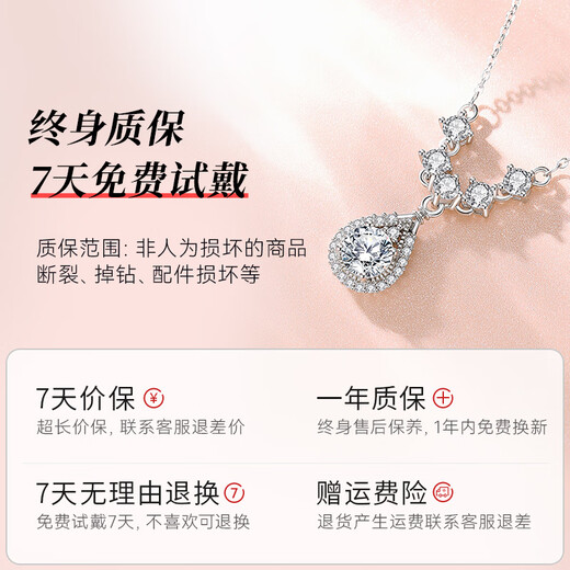 The only (Winy) sterling silver necklace for women, pendant, light luxury, birthday gift for girlfriend, silver jewelry for wife, lady