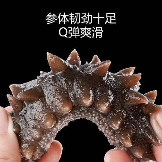 Dalian ready-to-eat sea cucumbers are shipped directly from the source. 1 Jin Jin is equal to 0.5 kg. Packed with cost-effective solids >80% frozen fresh aquatic products. 1 Jin Jin is equal to 0.5 kg of ready-to-eat sea cucumbers (10-14 heads)