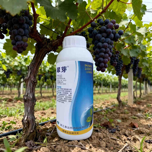 Taihui Li Cuiyang 50% monocyanamide ammonia grape peach and kiwi fruit tree bud-breaking sleep-inducing agent monohydroammonium growth regulator 250ml*1 bottle Production date September 25 Shelf life 2 years