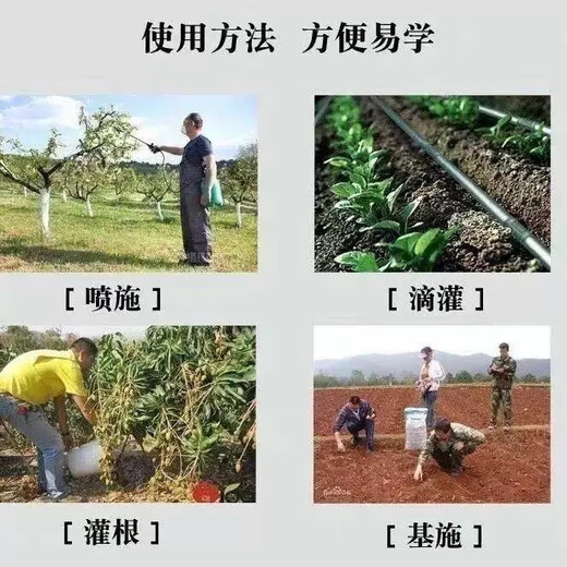 Genuine Agricultural Potassium Nitrate for Vegetables, Flowers, Fruit Trees, Wheat, General High Nitrogen and High Potassium Fertilizer to Increase Production, Foliar Fertilizer Genuine One Jin Jin is equal to 0.5 kg Bulk Sample Authenticity Guaranteed