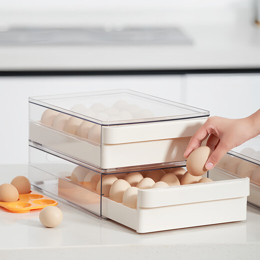 Home KATEI STORY Japanese drawer-type egg storage box for refrigerator, special food-grade kitchen egg box rack holder for organization and preservation, single layer (can store 24 eggs)