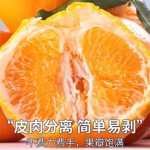 Uncle Sam Sichuan Chunjian Raking Mandarin Flash Delivery Papa Mandarin Orange Ugly Orange Fresh Fruit Gift Box New Year Gift Platinum Grade Selected Fruit Single Fruit 85mm+ 5 Jin Jin equals 0.5 kg 80% selection - great deal Net 4.5 Jin Jin equals 0.5 kg