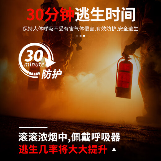 DEXUN THE FUTURE gas mask fire mask fire and smoke mask fire escape filter self-rescue respirator TZL30A red