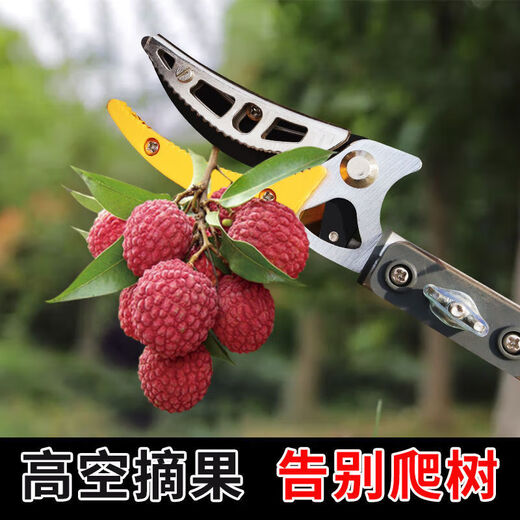 Qiaobole fruit picking artifact pruning shears telescopic high-altitude fruit picking scissors extended picker lychee lotus longan SN9355 1.4-2.2 meters 2-stage telescopic band saw blade