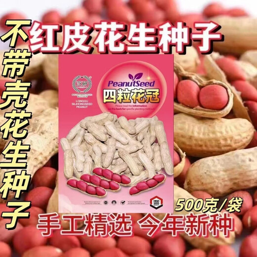 Four corolla red peanut seeds are hand-selected and shelled. Four red-skinned peanuts are large, high yield and high in oil. Purely hand-peeled rice (four corolla) red-skinned peanut seeds. One bag of high-yielding premium peanut seeds. Jin Jin is equal to 0.5 kilograms.