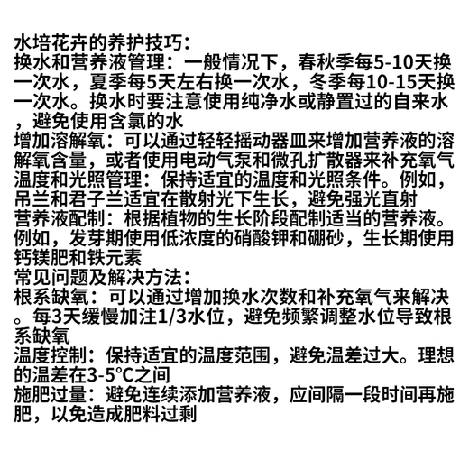 Anthurium potted white pink palm, smooth sailing flowers, extra-large flowers, indoor living room surface hydroponic plants are easy to grow, about 30-35 large anthurium-good morning suction, it is good to bring potted plants