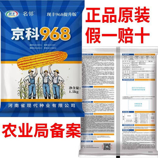 Rose Jingke 968 corn seeds, high yield, double sticks, low stems, lodging resistance, disease resistance, drought and waterlogging resistance, genuine national approved white shaft, new species promotion, genuine 3Jin Jin equal to 0.5kg, can be planted on 1.1 acres of land + nutritional coating