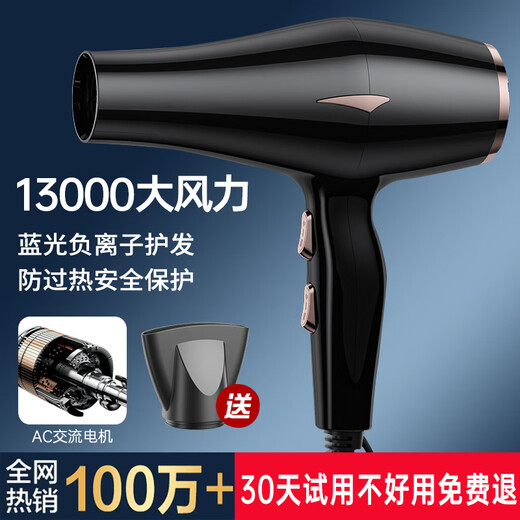 Philips PHLIPS same style German hair dryer for home high wind hair dryer, dedicated to hair dryer with high power that does not hurt hair, negative ion hot and cold wind silent hair dryer, home hair salon model Yaoye Black 2025 new 13000 wind power national 3C certified hair dryer | New Year's Day gifts for boys and girls
