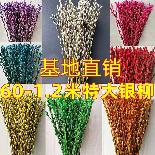 Silver willow real flowers, fresh branches, New Year's Eve flowers, red dried flowers, blessing bucket, silver willow, hydroponic plants, flowers, living room interior decoration, high-quality A-grade silver willow festive red 45 cm, 50 pieces + 2 small lanterns