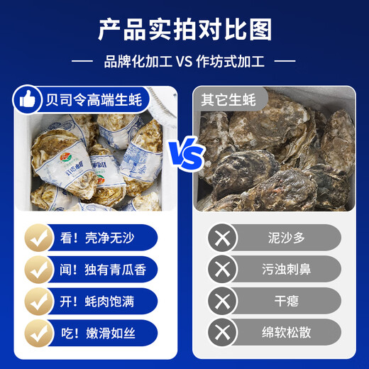 Bassling Fresh Rushan Ecological Oysters 4XL Net weight 9Jin Jin is equal to 0.5kg 17-23 pcs Freshly delivered directly from the source for New Year gifts