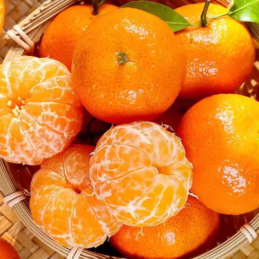 正宗广西砂糖橘沙糖桔新鲜水果当季蜜桔桂林橘子贡柑整箱 带箱1斤 小果（30-40mm）