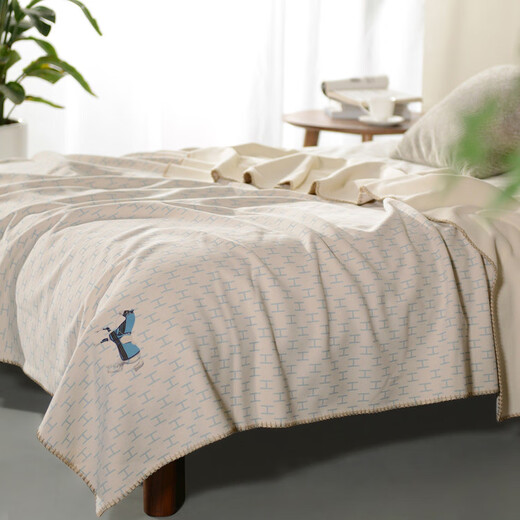 Class A cotton cashmere ins style blanket sofa blanket shawl blanket spring and summer thickened warm cover blanket flannel baby quilt A type (75% of customers' choice) 60*180cm (shawl blanket)