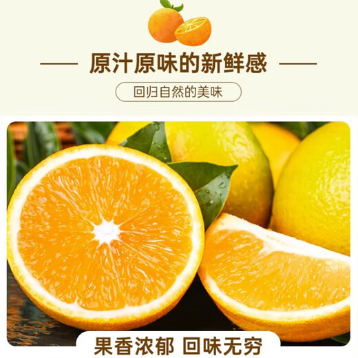 Naranjas de verano Zigui en una caja 1 Jin Jin equivale a 0,5 kg, frutas pequeñas de 55-60 mm envasadas Naranjas de verano Zigui en una caja 1 Jin Jin equivale a 0,5 kg de frutas pequeñas de 55-60 mm