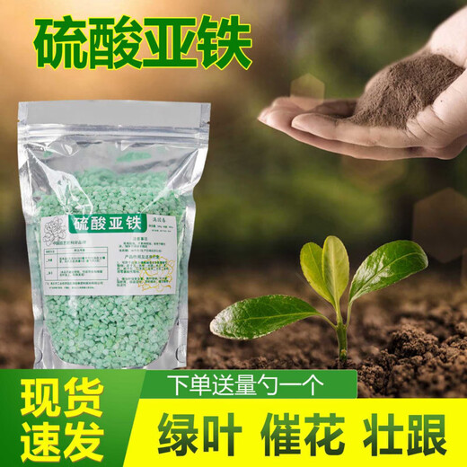 Ferrous sulfate is a special acidic soil for growing flowers. Universal anti-yellowing plant, fruit tree iron tree, improved alkalinity. Universal type. Prevents and treats yellow leaf disease + increases chlorophyll + adjusts pH (high-efficiency enhanced type) 450g universal type.