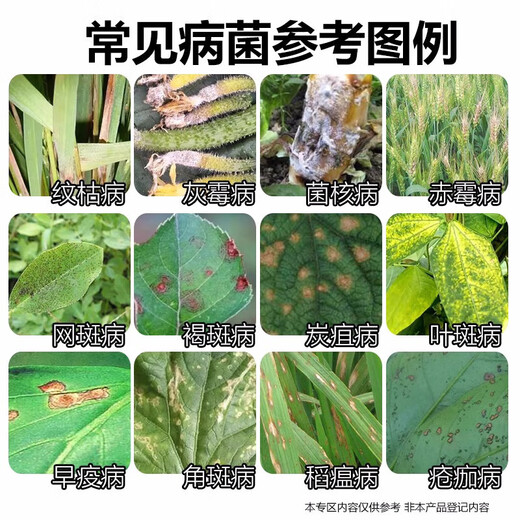 40% carbendazim aqueous fungicide for flowers, fruit trees, sheath blight, powdery mildew, scab, 400g*5 bottles