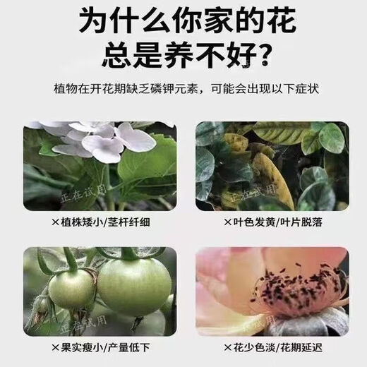 Urea Fertilizer Agricultural Nitrogen Fertilizer for Vegetables, Compound Fertilizer for Planting Flowers, Fruit Trees, Flower Pots, General Flower Fertilizer Genuine Weihe Medium and Small Granular Urea Contains 46% Nitrogen 5kg Trial