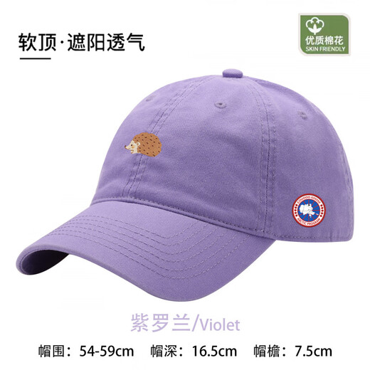 COUODOGOOSE Big Goose Baseball Cap for Men and Women Fashionable Travel Cap Casual Sun Shade for Men and Women Summer Soft Top Versatile Big Head for All Seasons Tiffany Blue