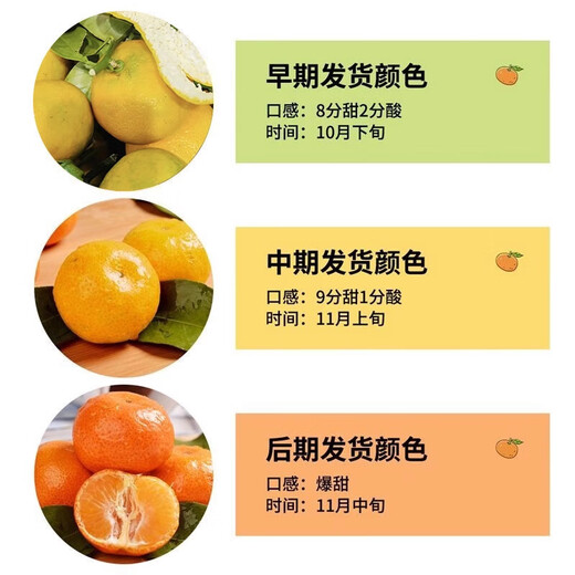 正宗广西砂糖橘沙糖桔新鲜水果当季蜜桔桂林橘子贡柑整箱 带箱1斤 小果（30-40mm）