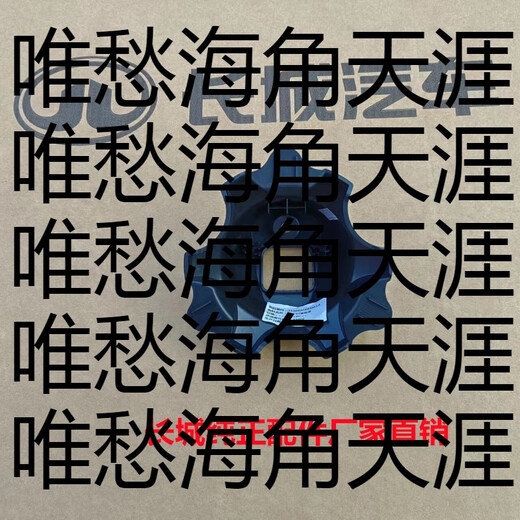 CLCEY Fenglin Iron Rider Camera Cover Protector Tank 300 Tank 500 Rear Spare Tire Camera Protection Authentic Original Black