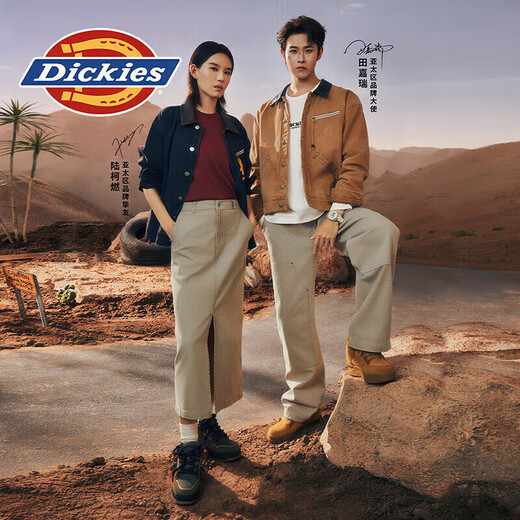 Dickies Tian Jiarui's same style, Zeng Keni's same style, men's sneakers, low-top casual shoes, work shoes, yellow brown 41