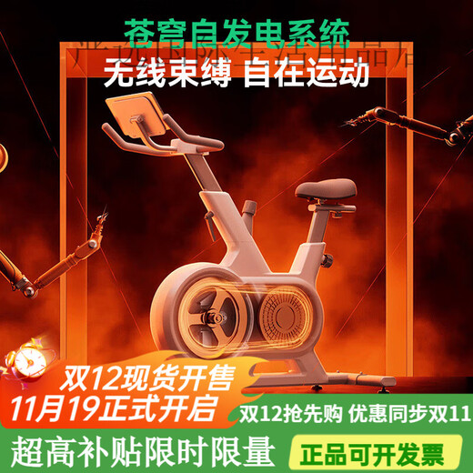 Lijiujia spinning bicycle fitness home model smart magnetically controlled bicycle indoor equipment silent wind chasing X self-generated - 8kg flywheel set - intelligent resistance adjustment - bold