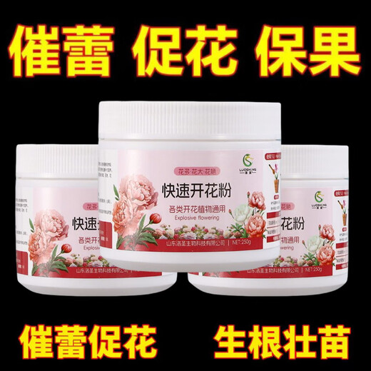 Быстроцветущий розовый чай, османтус, бугенвиллея, жасмин, новые крепкие саженцы, рекламная акция для балконных цветов, удобрение для цветов в горшках, специальное мероприятие для быстрого цветения 01 08, импульс за полцены, три большие бутылки по 750 г, купите одну и получите две бесплатно.