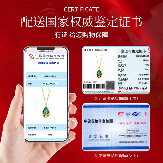 Qike Silver Necklace for Women, Light Luxury, Niche Jade Pendant, Clavicle Chain, Practical Birthday Gift for Girlfriend, Wife, Mom