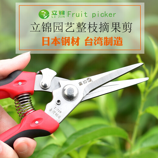 立锦园艺植物修剪花卉剪刀果剪刀摘果剪枇杷摘果器采果剪剪花枝剪刀 T-719日本钢采果剪
