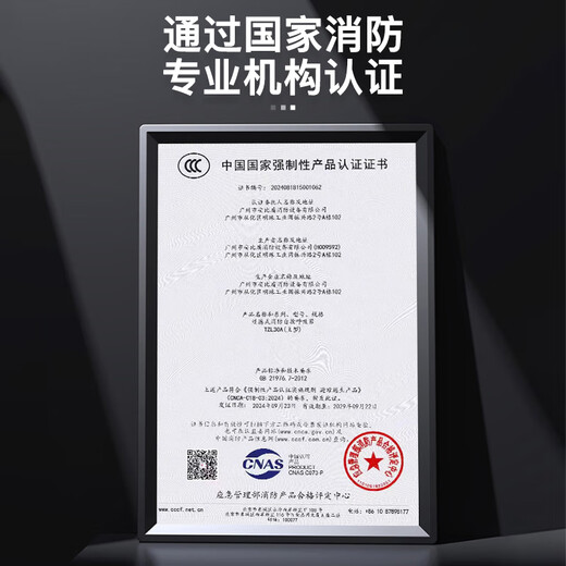 DEXUN THE FUTURE fire mask filter self-rescue respirator gas mask anti-smoke self-operated 3C certification TZL30A