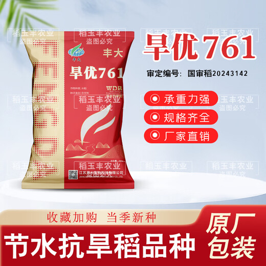 Dao Yufeng Agriculture Water-saving drought-resistant rice Hanyou 761 rice seeds Special heat-resistant type for upland rice with well-developed root system Hanyou 761 upland rice seeds 500g 3 bags (free rice gift package)