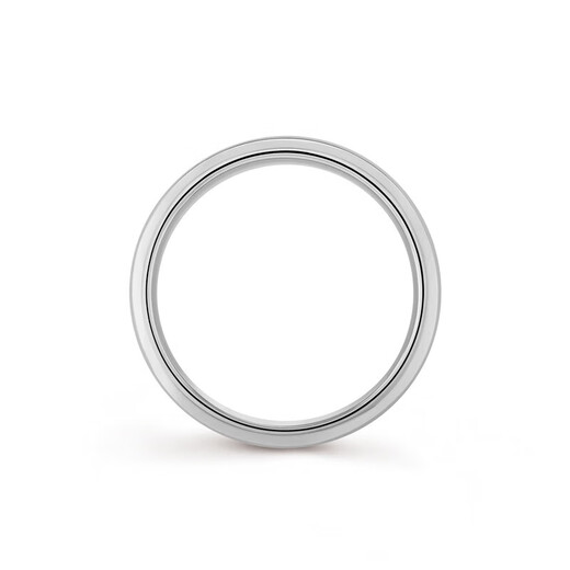 Van Cleef & Arpels & Arpel Toujours Men's Silver Platinum Beveled Edge Ring 48