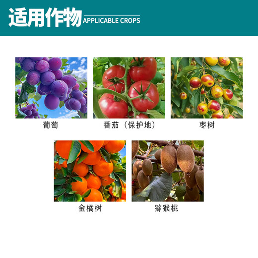 Yiguoling Thibenfuron genuine brand old brand grape big fruit fruit setting spirit tomato expansion agent growth regulator 30mlX4 bottles