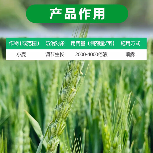 28 table high brassinolide plant growth regulator to protect flowers and fruit trees Yuntai lactone foliar fertilizer pesticide 500g*5 bottles