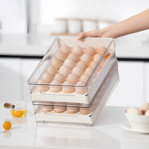 Home KATEI STORY Japanese drawer-type egg storage box for refrigerator, special food-grade kitchen egg box rack holder for organization and preservation, single layer (can store 24 eggs)