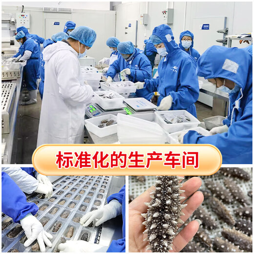 即食底播零添加刺参，固形物80%/滋补500g/8-20头/单装更方便 8-12头/斤 1000g优惠装