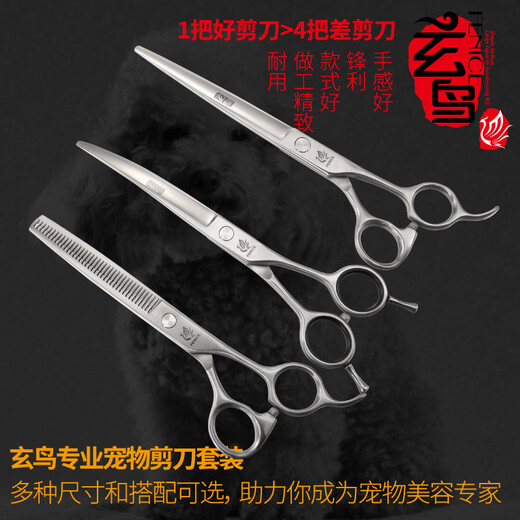 Black Bird Professional Pet Scissors Set Dog Hair Shearing Pet Grooming Tools Straight Cut Curved Scissors Teeth Scissors Teddy Bichon Grooming Small Dog 7 Straight + 6.5 Curved + 6.5 Teeth Novice