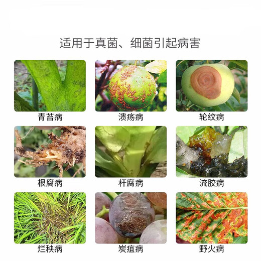 80% acetoallin, fungus, bacteria, root rot, seedling rot, fusarium wilt, bacterial wilt, moss removal pesticide, fungicide 1000g*5 bottles