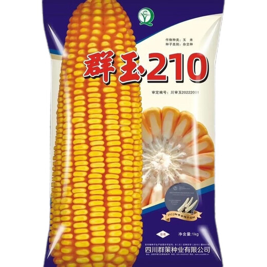 Гибридные семена кукурузы Qunyyu 210, высокоурожайные, устойчивые к полеганию и ржавчине семена кукурузы 2Jin Jin, равные 0,5 кг *1 упаковка