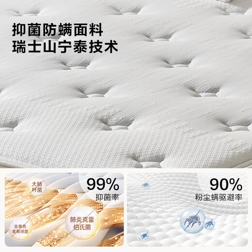 Quanyou Home Natural Coconut Palm Mattress 1.5m x 2m household hard spine double spring mattress 20cm thick