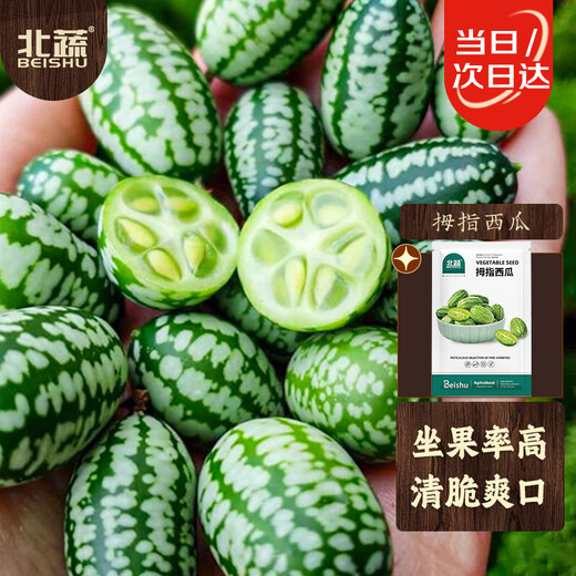 Beishu thumb watermelon seeds seedlings fruit mini small watermelon seeds thumb watermelon seeds about 50 pieces