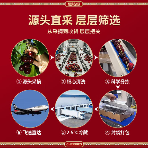 Jingyi Fresh Chilean Cherries Gift Box JD/SF Express Imported Cherry Fruit New Year's Day Gift Box 5Jin Jin equals 0.5kg (net weight) Gift Box 3J Grade 30-32mm