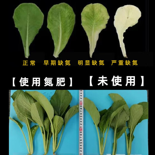 农用氮肥小颗粒尿素氮46%蔬菜花卉种菜通用肥料盆栽家庭园艺肥料 尿素50斤