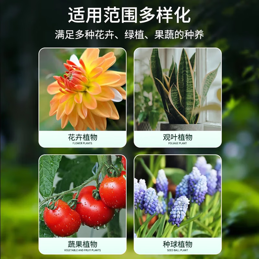 Gardening bone meal flower fertilizer to promote flower cultivation, high phosphorus and high potassium, defatted for flowering and growing vegetables, organic plant bone meal 100g
