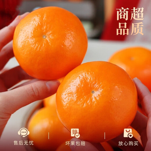 Ограниченное предложение свежих фруктов Guangxi Wogan в полной сезонной упаковке, собранных и доставленных прямо сейчас, в коробке 1 Jin Jin весит 0,5 кг, отдельные фрукты 60 мм+.