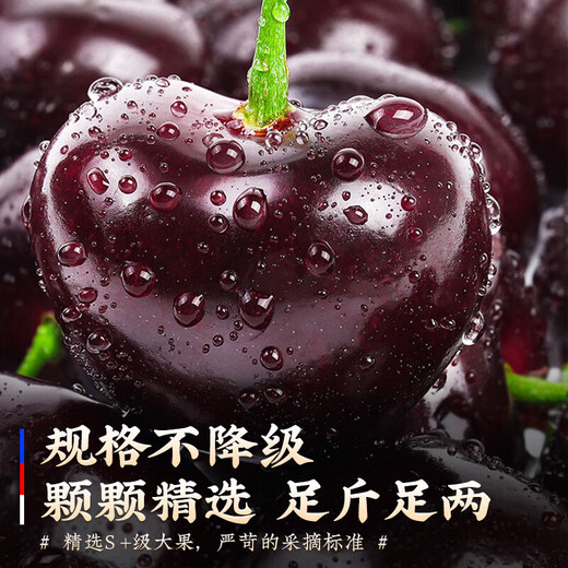 Jingyi Fresh Chilean Cherries Gift Box JD/SF Express Imported Cherry Fruit New Year's Day Gift Box 5Jin Jin equals 0.5kg (net weight) Gift Box 3J Grade 30-32mm