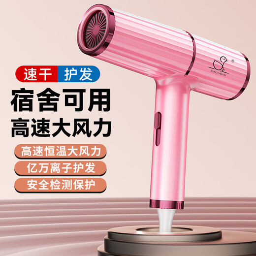 Hair dryer for home dormitory students negative ion blue hair care strong wind hot and cold air hair dryer unified professional version 6000 strong wind charm gray