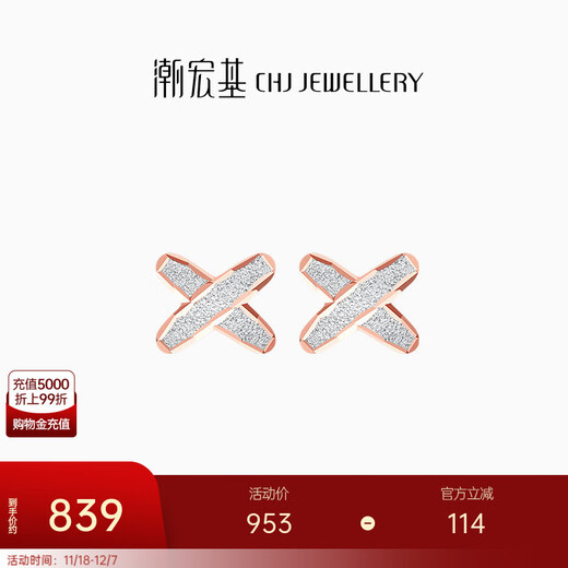 Trendy Acer Newborn 18K Gold Earrings for Women Color Gold Earrings Fashionable and Versatile Gift for Girlfriend Birthday Gift One Pair Contains Silicone Ear Plugs